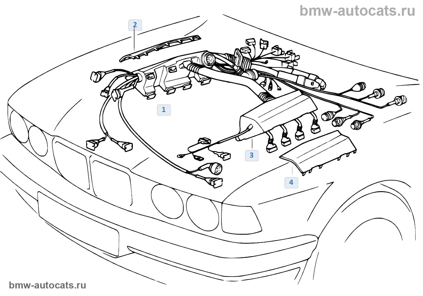 1 36 1 52. Жгуты проводов BMW e60. Схема проводки двигателя м50. Моторный отсек схема БМВ е39. Провода форсунок BMW e46.